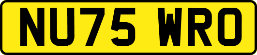 NU75WRO
