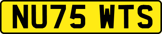NU75WTS