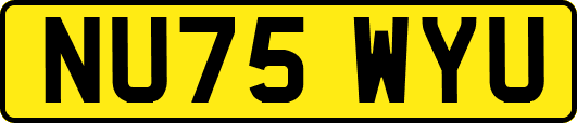 NU75WYU