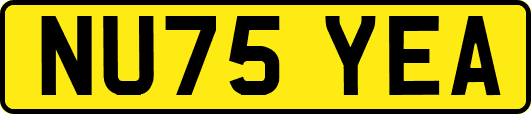 NU75YEA