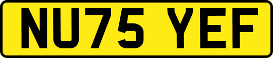 NU75YEF