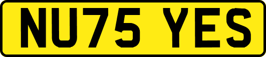 NU75YES
