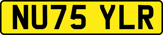 NU75YLR
