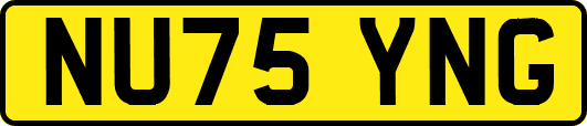 NU75YNG