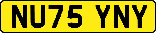 NU75YNY