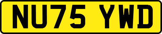 NU75YWD