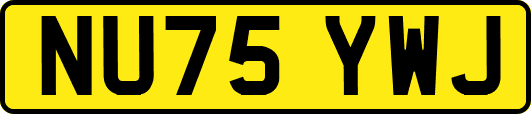 NU75YWJ