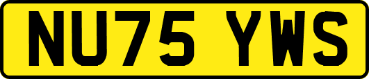 NU75YWS