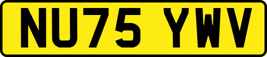 NU75YWV