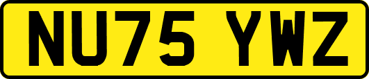 NU75YWZ