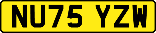 NU75YZW