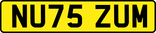 NU75ZUM