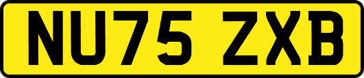NU75ZXB