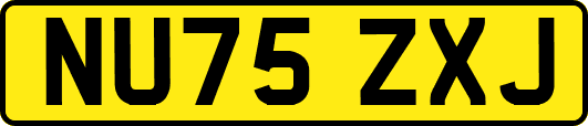 NU75ZXJ