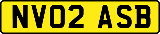 NV02ASB