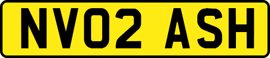 NV02ASH