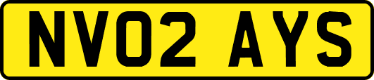 NV02AYS
