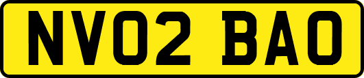 NV02BAO