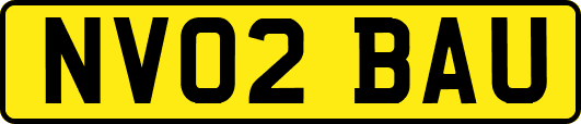 NV02BAU
