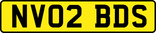 NV02BDS