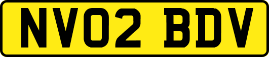 NV02BDV