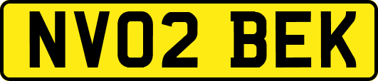 NV02BEK