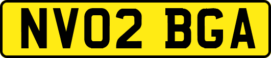 NV02BGA