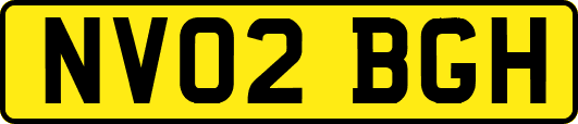 NV02BGH