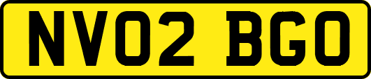 NV02BGO