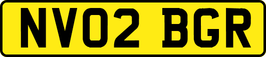 NV02BGR