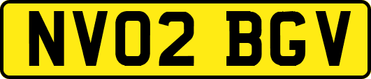 NV02BGV