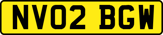 NV02BGW