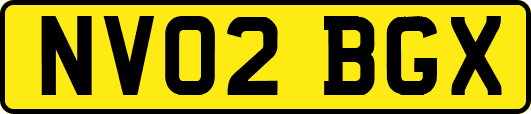 NV02BGX