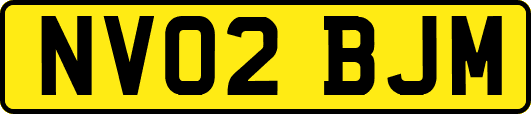 NV02BJM