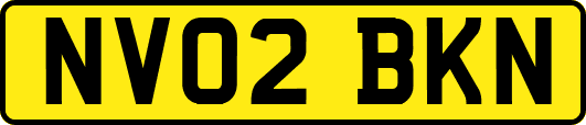 NV02BKN