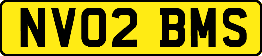 NV02BMS