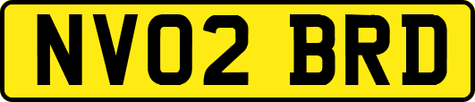 NV02BRD