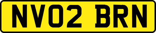 NV02BRN