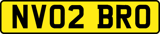 NV02BRO