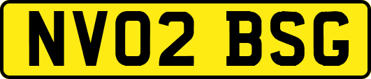 NV02BSG
