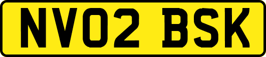 NV02BSK