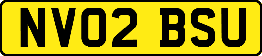 NV02BSU