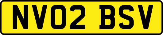 NV02BSV