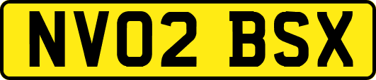 NV02BSX