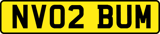 NV02BUM