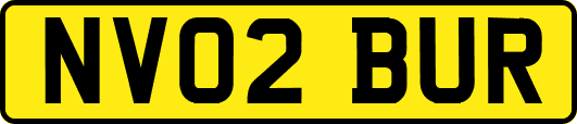 NV02BUR