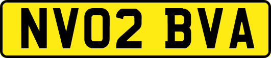 NV02BVA