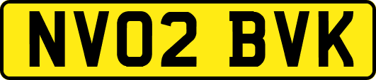 NV02BVK