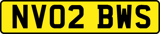 NV02BWS