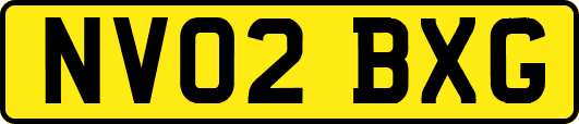 NV02BXG